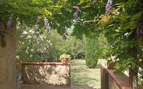 Podere Dolce Sonno e Sonnellino: Strauch, Garten, Frühling, Ground, Schatten, Garten, Hinterhof, Landscaping, Outdoor Struktur, Pergola