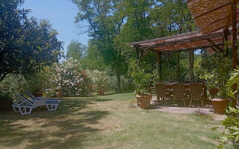 Podere Dolce Sonno e Sonnellino: Strauch, Möbel, Garten, Schatten, Hinterhof, Rasen, Stuhl, Gartenmöbel, Outdoor Struktur