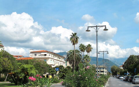 Marina di Massa 651: Himmel, Baum, Wolke, Durchgangsstrasse, Strassenlicht, Kumulus