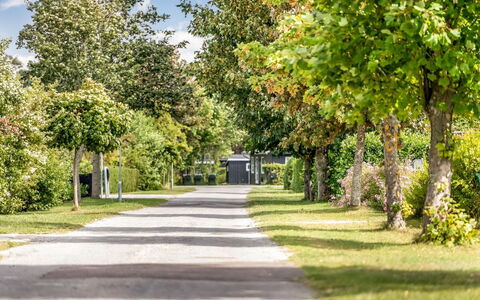 Ulli - 350M from the Sea: Baum, Blatt, Grün, Ast, Strassenbelag, Strauch, Landschaft, Frühling, Durchgangsstrasse, Garten