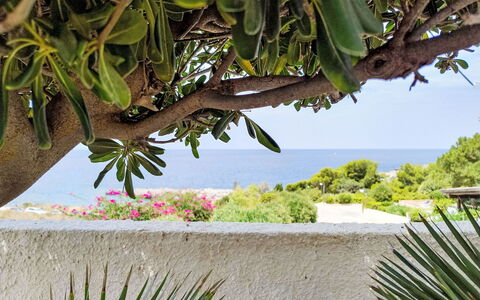 Cala Isulidda: Meer, Ozean, Küste, Tropen, Strand, Karibik