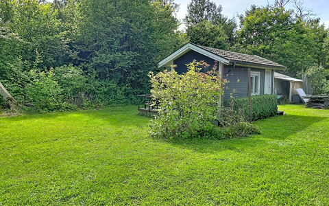 Lötstugan: Gras, Strauch, Garten, Rasen, Wiese, Hütte, Grundstueck, Ground