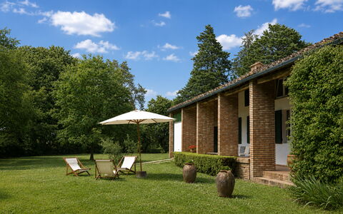 Casa Mancini, Holiday Villa, San Galgano: Gras, Strauch, Zuhause, Haus, Garten, Rasen, Hütte, Grundstueck, Estate, Bauernhaus