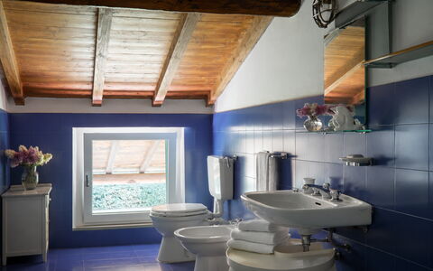 Casa Mancini, Holiday Villa, San Galgano: Armatur, Badezimmer, Sinken, Bad Sink, Interior Design, Flooring, Zapfhahn, Installation, Toilleten Sitz, Toilette