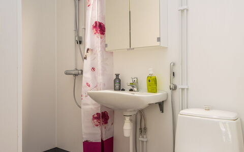 Heinävesi Homes D8: Badezimmer, Armatur, Bad Sink, Interior Design, Flooring, Sinken, Fussboden, Zapfhahn, Toilette, Installation