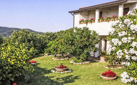 Il Mulinetto: Blume, Strauch, Garten, Frühling, Rasen, Landscaping, Garten, Hinterhof, Botanischer Garten