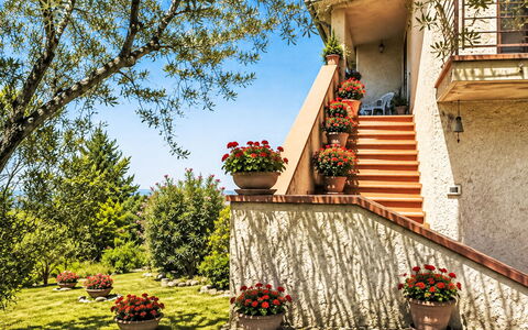 Il Mulinetto: Strauch, Garten, Blumentopf, Landscaping, Zimmerpflanze, Treppe, Garten, Design, Balkon