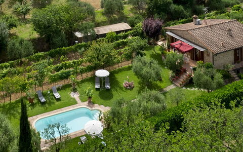 Villa Sorripa 6: Strauch, Garten, Hütte, Hinterhof, Estate, Landscaping, Bauernhaus, Plantage, Garten, Rasen