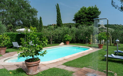Villa Sorripa 6: Schwimmbad, Strauch, Garten, Resort, Hinterhof, Gartenmöbel, Hazienda, Landscaping, Eco Hotel, Schatten