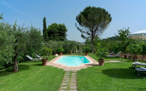 Villa Sorripa 6: Schwimmbad, Gartenmöbel, Garten, Resort, Hinterhof, Rasen, Hazienda, Estate, Eco Hotel, Landscaping