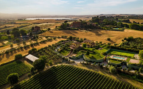 Poderina dei Poggi 12: Landschaft, Grundstueck, Einfach, Plantage, Ländliches Gebiet, Feld, Garten, Landwirtschaft, Vogelperspektive, Estate
