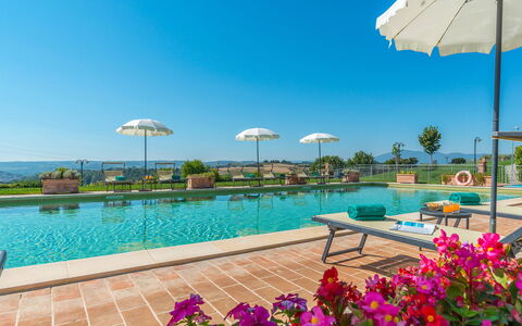 Poderina dei Poggi 12: Schwimmbad, Resort, Ferienort, Plantage, Landwirtschaft, Eco Hotel, Stockfotografie