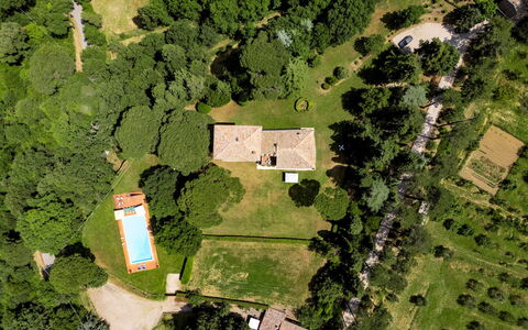 Torre di Paciano 10+2: Baum, Natürlichen Umgebung, Natur, Landschaft, Wohngebiet, Haus, Zuhause, Estate, Einfach, Grundstueck