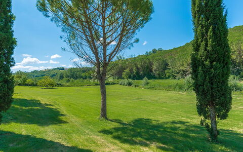 La Casa Dell'Artista 6: Grün, Blatt, Gras, Natürlichen Umgebung, Natur, Vegetation, Natürliche Landschaft, Wiese, Strauch, Landschaft