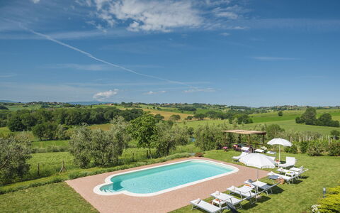 Poggio Vistabella 10: Schwimmbad, Wiese, Estate, Rasen, Plantage, Bauernhaus, Bauernhof, Landwirtschaft, Villa, Hazienda