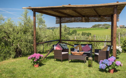 Poggio Vistabella 10: Garten, Möbel, Gazebo, Pavillon, Gartenmöbel, Outdoor Struktur, Schatten, Pergola, Hinterhof
