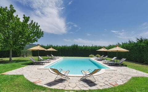Villa Augusto 10: Schwimmbad, Gartenmöbel, Garten, Resort, Landscaping, Schatten, Rasen, Sonnenliege, Stuhl, Eco Hotel