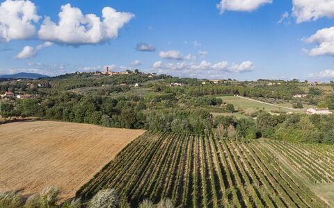 Villa Gabri 8: Ländliches Gebiet, Landschaft, Feld, Landwirtschaft, Grundstueck, Einfach, Plantage, Bergstation, Wiese, Bauernhof
