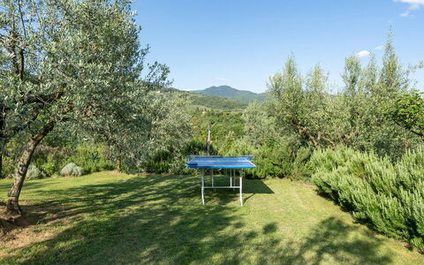 Buca delle Fate 8: Baum, Bergstation, Wiese, Weide, Immergrün, Grat, Plantage, Pine Familie