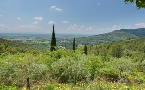 Le Volpaie 6+1: Natürlichen Umgebung, Blatt, Vegetation, Natürliche Landschaft, Hügel, Ökoregion, Strauch, Pflanzengemeinschaft, Hochland, Landschaft