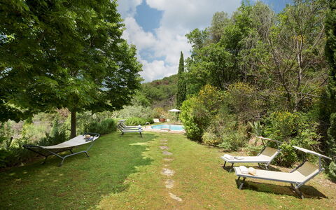 Le Volpaie 6+1: Vegetation, Strauch, Landschaft, Garten, Gartenmöbel, Schatten, Landscaping, Eco Hotel, Hinterhof, Rasen