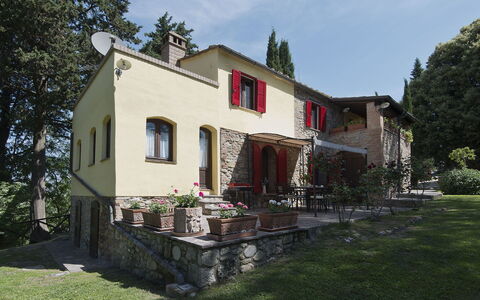 Frantusa 6+2: Garten, Hazienda, Hütte, Estate, Hinterhof, Garten, Landscaping, Bauernhaus, Stuhl, Villa