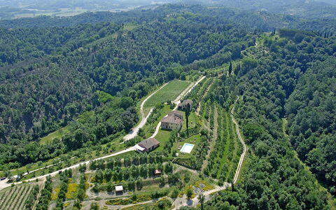 Germagnana 12+2: Natürlichen Umgebung, Landschaft, Vogelperspektive, Hochland, Bergstation, Plantage, Ländliches Gebiet, Wald, Luftaufnahmen, Feld