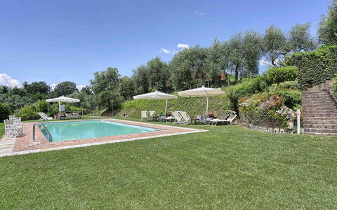 Germagnana 12+2: Strauch, Garten, Ground, Estate, Rasen, Plantage, Bauernhaus, Landscaping, Villa, Hazienda