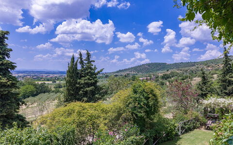 I Mandorli 8: Baum, Natur, Blatt, Vegetation, Strauch, Landschaft, Pflanzengemeinschaft, Hügel, Hochland, Bergstation
