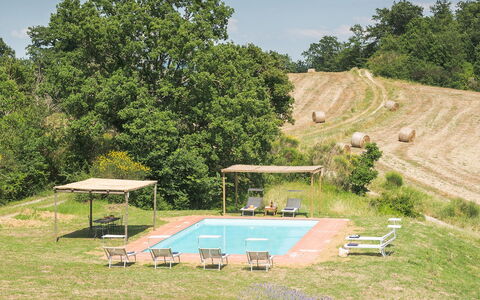 Amantino 8: Grundstueck, Freizeit, Garten, Schwimmbad, Rasen, Gartenmöbel, Bauernhaus, Schatten, Estate
