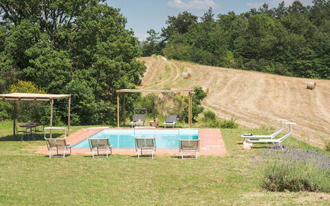 Amantino 8: Baum, Schwimmbad, Garten, Freizeit, Gartenmöbel, Rasen, Schatten, Stuhl, Hinterhof, Resort