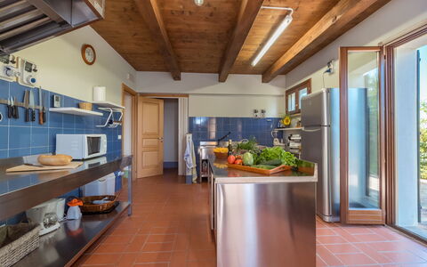 Casale Verdicchio 10+2: Holz, Flooring, Küche, Möbel, Interior Design, Decke, Countertop, Zuhause, Fussboden, Beleuchtung