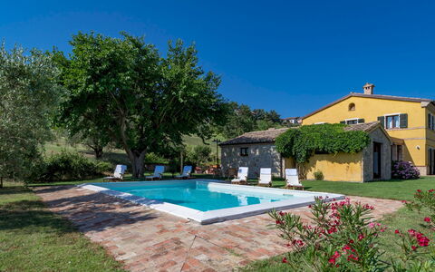 Casale Verdicchio 10+2: Estate, Hütte, Schwimmbad, Bauernhaus, Hazienda, Villa, Rasen, Landscaping, Eco Hotel, Garten