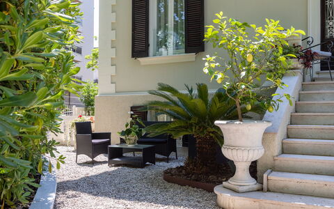 Villa Corona 8: Strauch, Garten, Blumentopf, Schatten, Landscaping, Zimmerpflanze, Hof, Garten