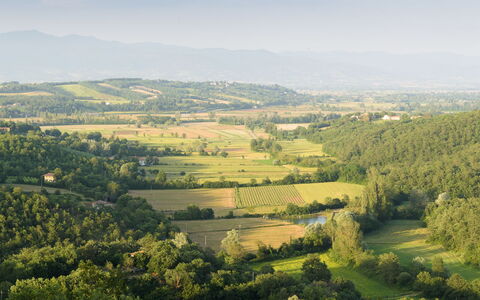 Villa Vittoria D'Anghiari 7+3: Grün, Natürlichen Umgebung, Natürliche Landschaft, Landschaft, Ökoregion, Wiese, Einfach, Hochland, Feld, Grundstueck