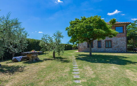Poggio Medei 10: Himmel, Blau, Gras, Wiese, Einfach, Grundstueck, Rasen, Garten, Wiese, Bauernhaus