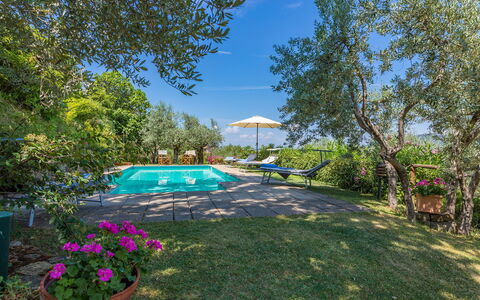 Casa del Sole 4: Blau, Strauch, Garten, Landscaping, Estate, Garten, Hinterhof, Eco Hotel, Rasen