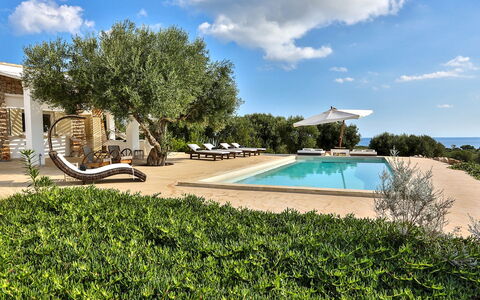 Villa Pajare Francesi 8+2: Zuhause, Estate, Garten, Schatten, Villa, Landscaping, Hazienda, Bauernhaus, Resort, Villa