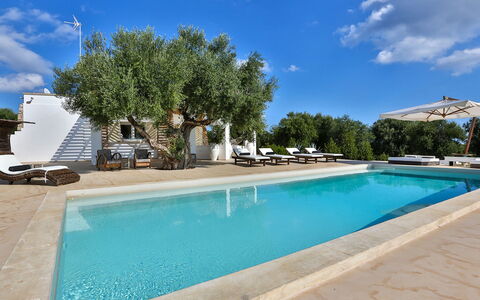 Villa Pajare Francesi 8+2: Blau, Schwimmbad, Schatten, Estate, Resort, Gartenmöbel, Villa, Hazienda, Hotel