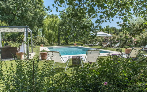 Albachiara 8: Strauch, Gartenmöbel, Schwimmbad, Garten, Schatten, Landscaping, Hinterhof, Freizeit, Stuhl, Resort