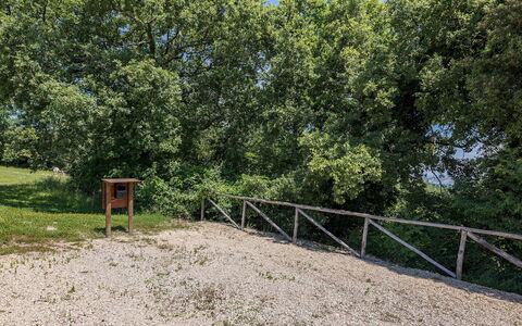 Il Colle di Donna Ilaria 12: Baum, Blatt, Ast, Gehölz, Weg, Wald, Boden, Park, Zaun, Pfad