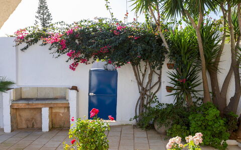 Villa del Lentisco 8+2: Blume, Blumentopf, Strauch, Garten, Zimmerpflanze, Schatten, Landscaping, Garten, Hof