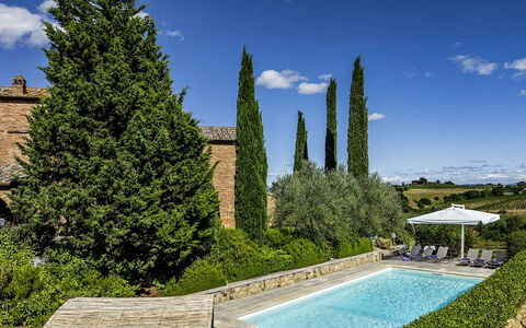 Casale dei 12: Strauch, Garten, Landscaping, Hecke, Estate, Immergrün, Villa, Hazienda