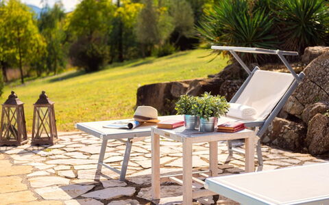 Cinque Cipressi 8: Möbel, Gartenmöbel, Tabelle, Stuhl, Tisch Im Freien, Terrasse, Schatten, Kaffetisch, Garten, Küche & Esszimmer Tisch