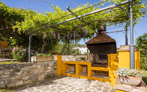 Le Querce dei Medici 12+2: Garten, Schatten, Blumentopf, Hazienda, Hinterhof, Landscaping, Garten, Outdoor Struktur, Eco Hotel, Zimmerpflanze