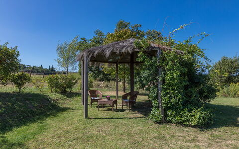 Villa Palazzaccio 26: Strauch, Garten, Schatten, Outdoor Struktur, Gazebo, Pergola, Landscaping, Pavillon, Plantage