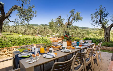 Villa Monnalisa 12: Möbel, Tabelle, Gartenmöbel, Tisch Im Freien, Garten, Küche & Esszimmer Tisch, Stuhl, Landscaping, Restaurant, Terrasse