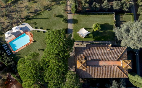 Villa Beltrami 14: Baum, Landschaft, Wohngebiet, Estate, Grundstueck, Garten, Schwimmbad, Rasen, Landscaping, Hazienda