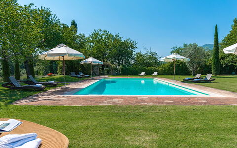 San Francesco 12: Blau, Schwimmbad, Garten, Estate, Landscaping, Rasen, Eco Hotel, Resort, Plantage, Hazienda