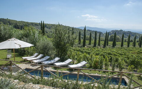 Villa delle Upupe 8: Landschaft, Plantage, Bergstation, Landscaping, Landwirtschaft, Immergrün, Chaparral